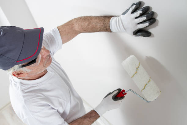 Best Ceiling Drywall Installation  in East Milton, FL